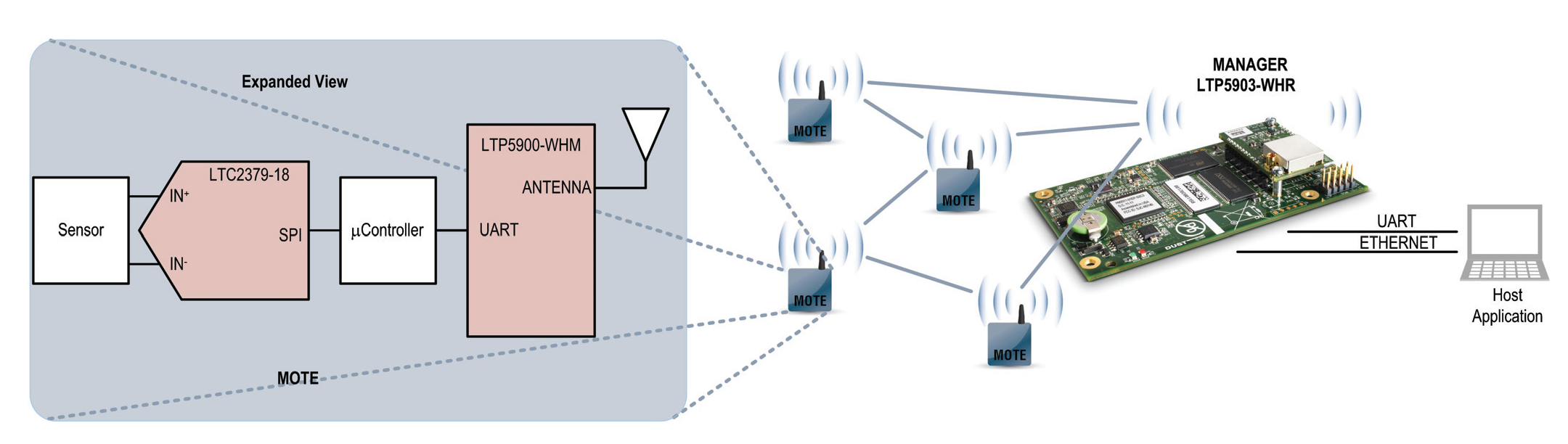 LTP5903IPC-WHKBӦͼһ